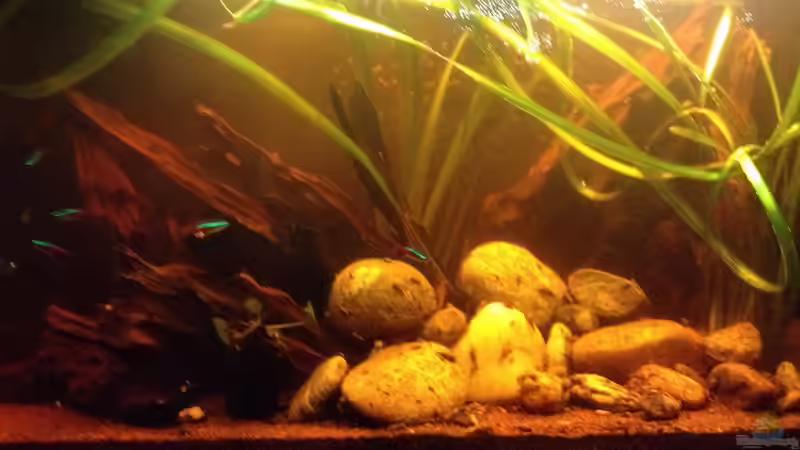 September 2014 von der Steirer (21)