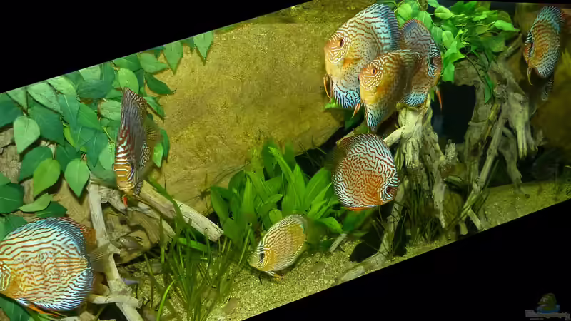 September/2014 von ~Marco~ (48)