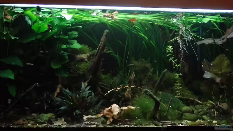 September 2015 - es herbstelt von paris (5)