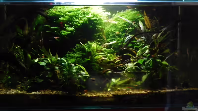 September 2015 von Stefan_S (2)