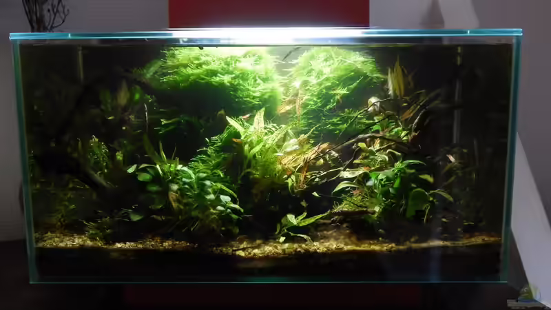 September 2015 von Stefan_S (4)