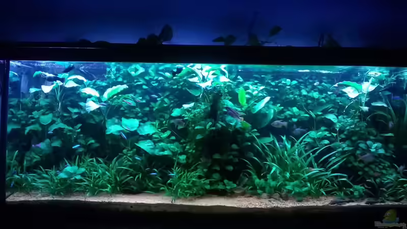 September 2015 von Steven Müller (11)