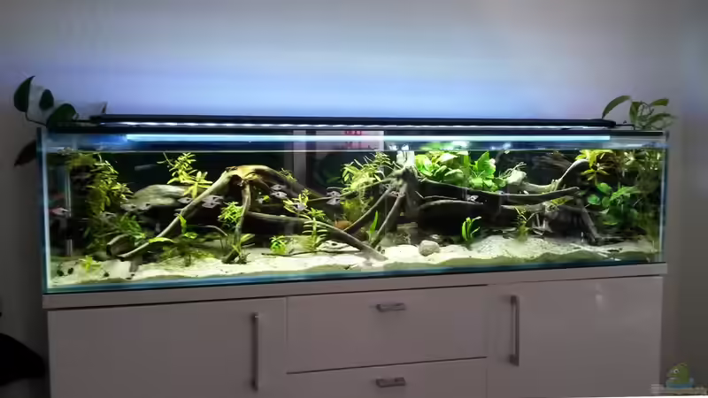 September 2017, nach kompletter Neueinrichtung von Berlin42 (35)