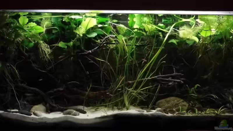 September 2017 von paris (10)