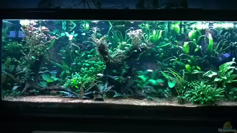 September 2017 von Steven Müller (18)