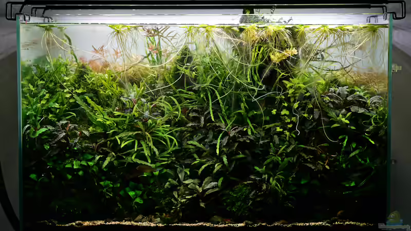 September 2019 von Micha... (21)