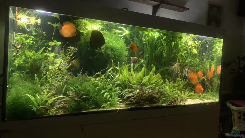 September 2022 von signo (26)