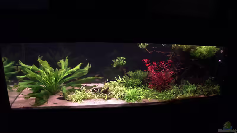 September2021 von BlueWave (6)