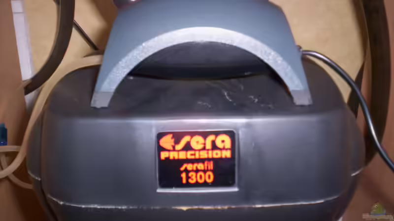 Sera 1300 und Tetra Tec APS 50 von Niko P. (25)