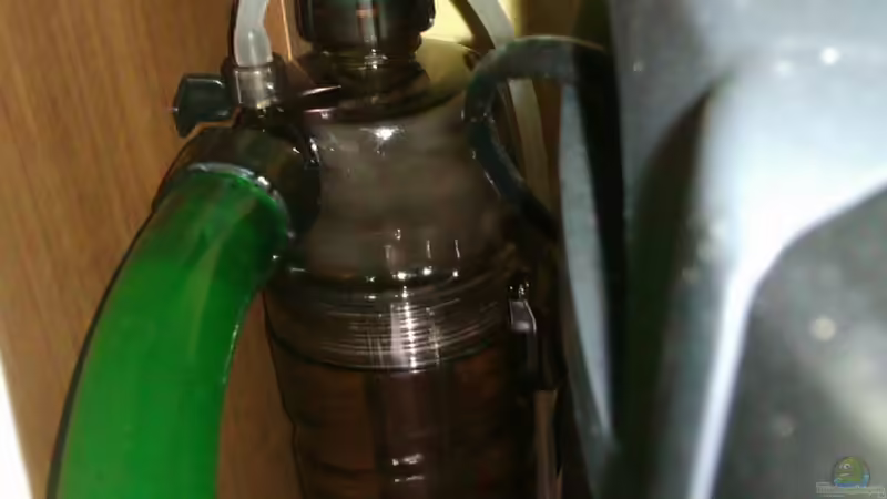 Sera CO2 flore Aktive Reaktor 1000 von Biffty (19)