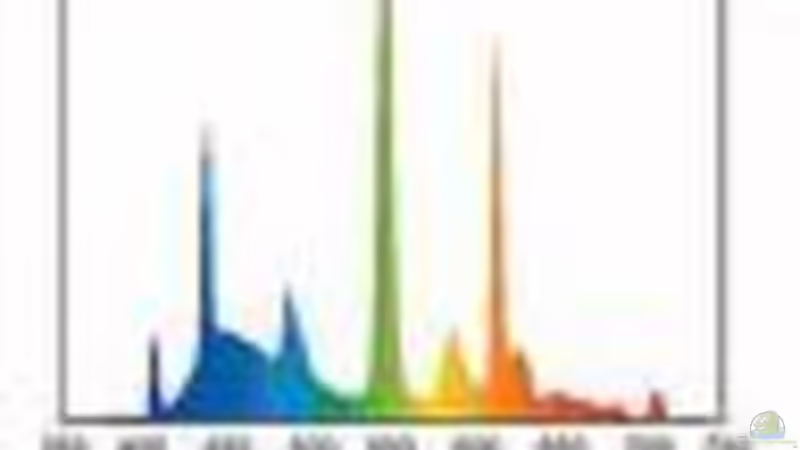 sera daylight 6000K von Jonathan Helbig (10)