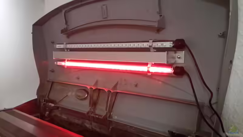 Sera LED von Kathrin77 (30)