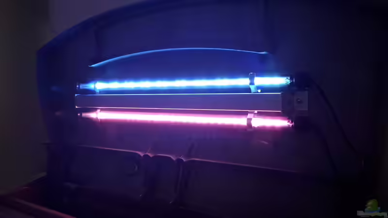 Sera LED von Kathrin77 (31)