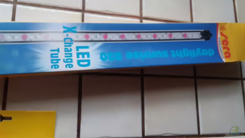 Sera led von Miss Kasimir (19)