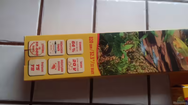 Sera led von Miss Kasimir (21)