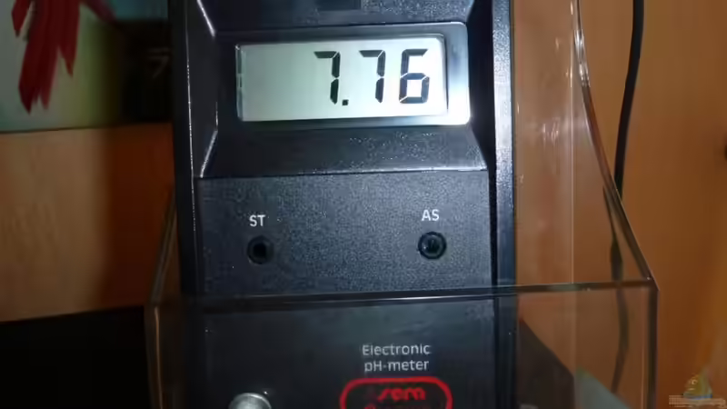 Sera PH- Controller von H@rdy &gt;&lt;((((°&gt; (28)