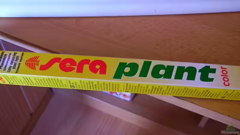 sera plant color von Falk (4)