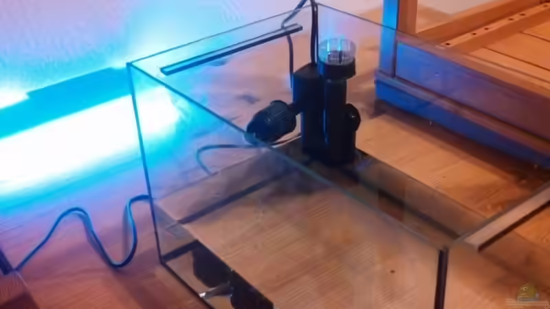 Setup Test 1 von Moepple (2)