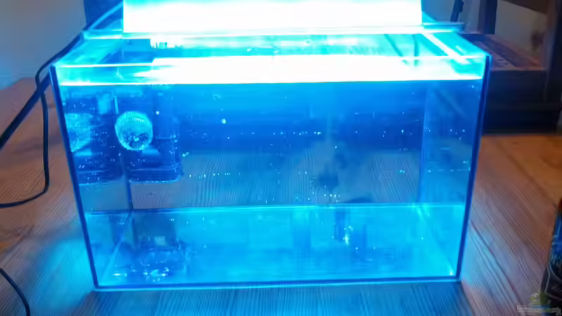 Setup Test 2 von Moepple (3)