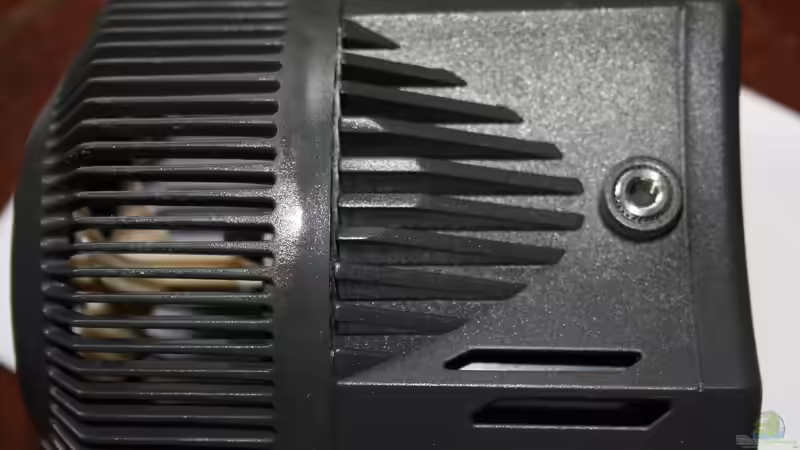 Sicce SP 8 von Florian Bandhauer (57)