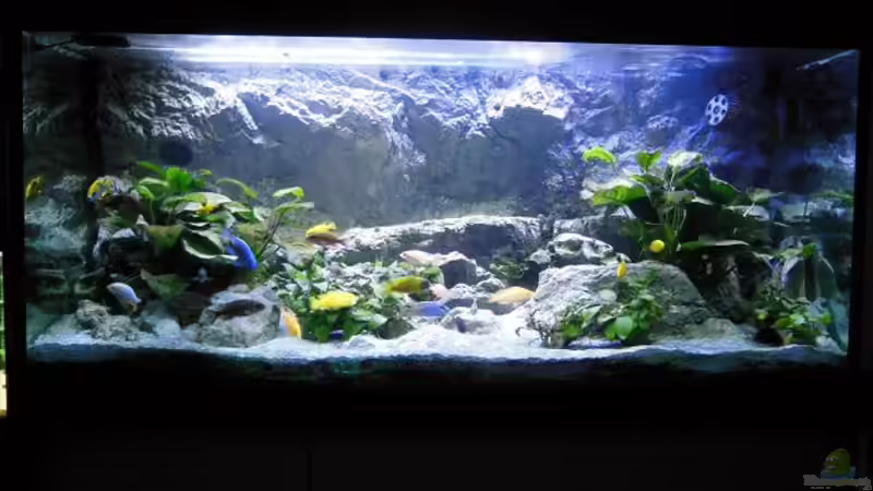 Sicce Voyager 2 rechts vor Rückwand von tomwu (19)