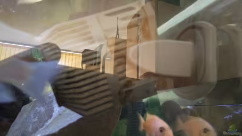 Sicce Voyager 3 auf der rechten Seitenscheibe des Becken  von Wasserfest ;-) (23)