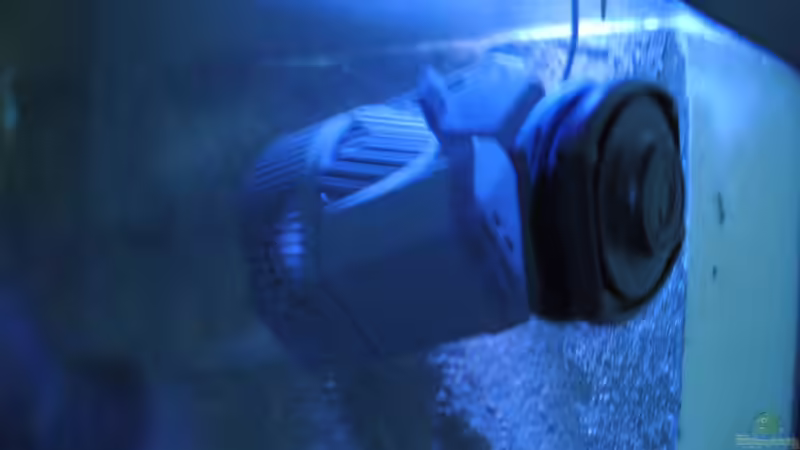 Sicce Voyager HP 7 von Kevin (7)