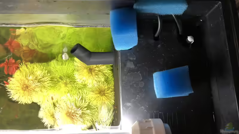 Sicherung Innenfilter und Abdeckung von Kamelot (7)