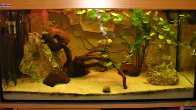 Sicht, direkt von vorne