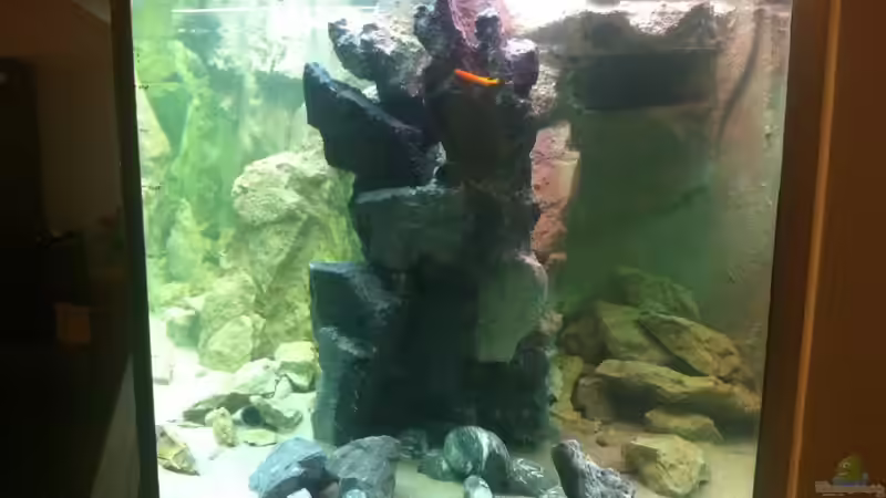 Sicht aus dem Gäste WC von Dirk Beßler (7)