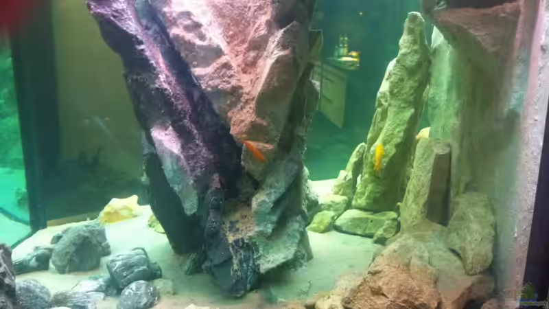 Sicht aus dem Gäste WC von Dirk Beßler (8)