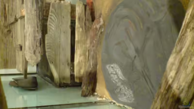 Sicht durch die Seitenscheibe von Friedrich Tietze (14)