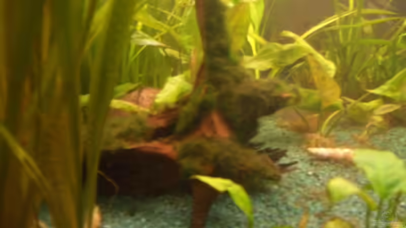 Sicht durch linke Seitenscheibe unten von Sirko Fricke (2)