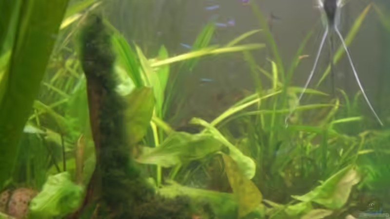 Sicht durch linke Seitenscheibe von Sirko Fricke (3)