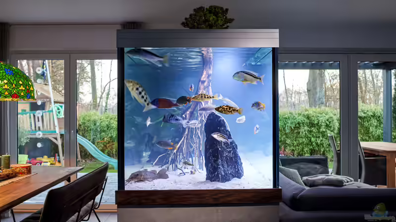 Sicht in die Tiefe von LEDaquaristik.de (3)