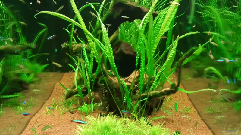 Sicht vom Flur aus von Jens Hug (4)