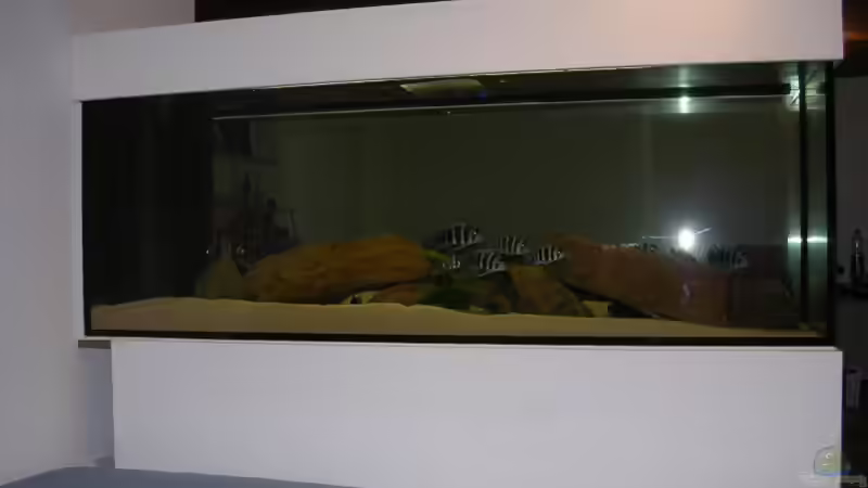 Sicht vom Wohnzimmer aus von Costa Reichl (2)