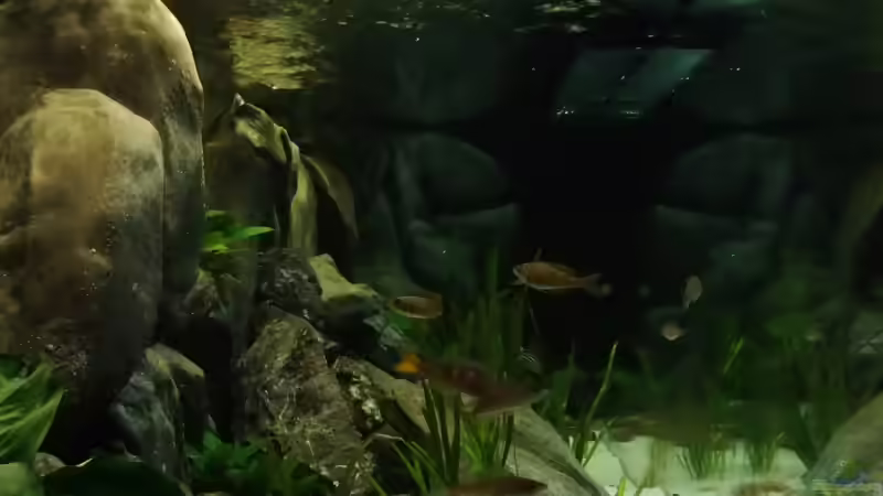 Sicht von linker Stirnseite von Trooper (17)