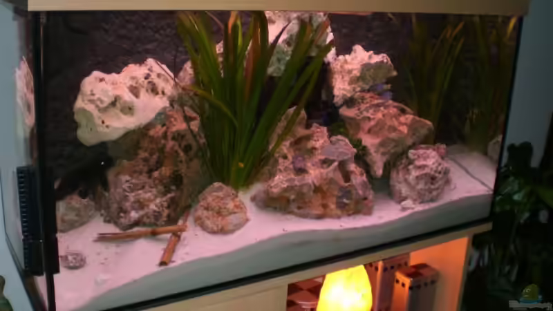 Sicht von Links von Sven Seidel (2)