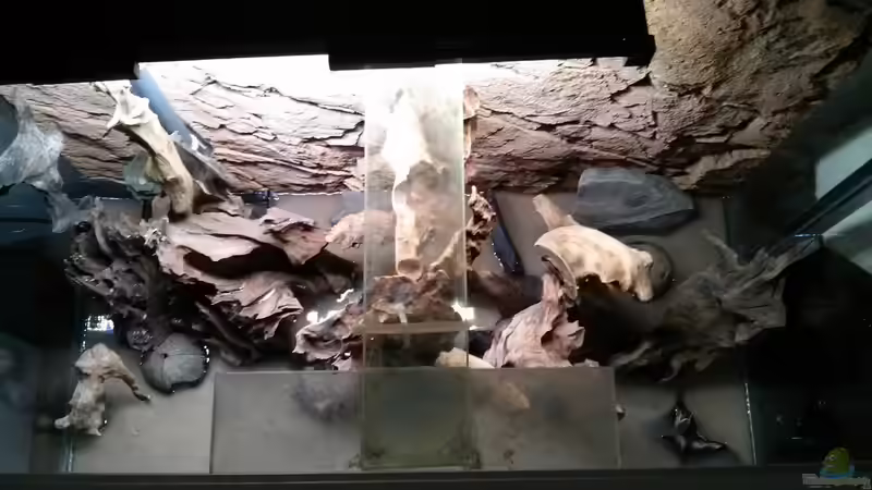 Sicht von Oben,schön zu erkennen,die zwei Wurzeln ,die anderen Strebe mit Kabelbinder befestigt sind ,Dank Blende ist nichts von der Befestigung von vorne und den Seiten zu sehen  von AquaTobi90 (35)
