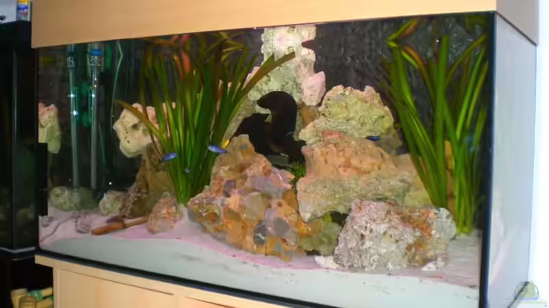 Sicht von Rechts von Sven Seidel (3)