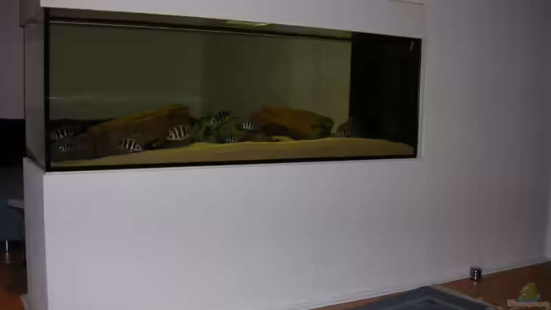 Sicht von Schlaf und Arbeitsbereich von Costa Reichl (1)