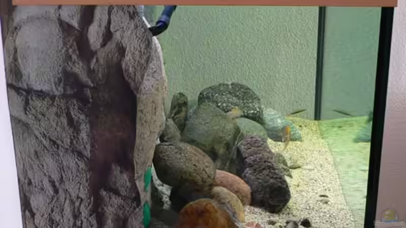 Sichtbereich hinter der Rückwand mit Folie abgeklebt von Oliver Vieth (4)