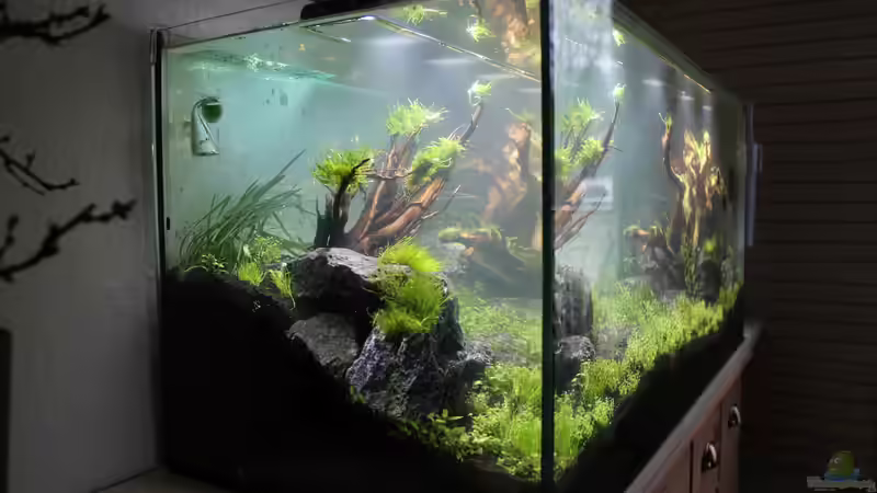 Sichtseite vom Sofa :-) von Martin Lange (17)