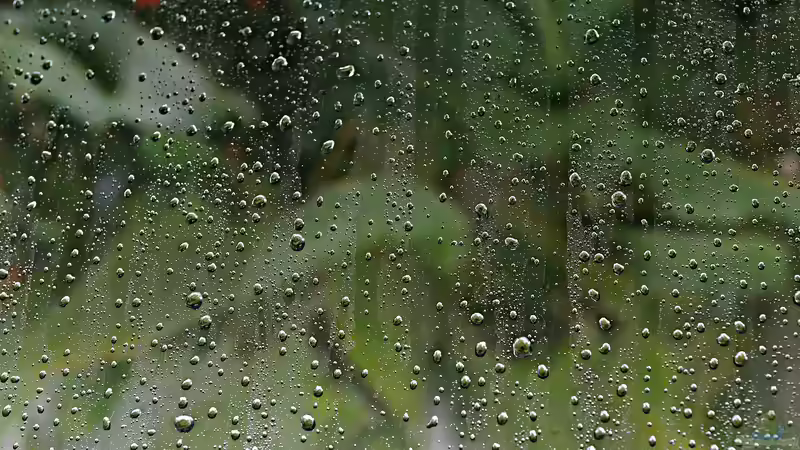 Sickerflächen im Garten: Wie Regenwasser die Bodenwasserversorgung unterstützen kann