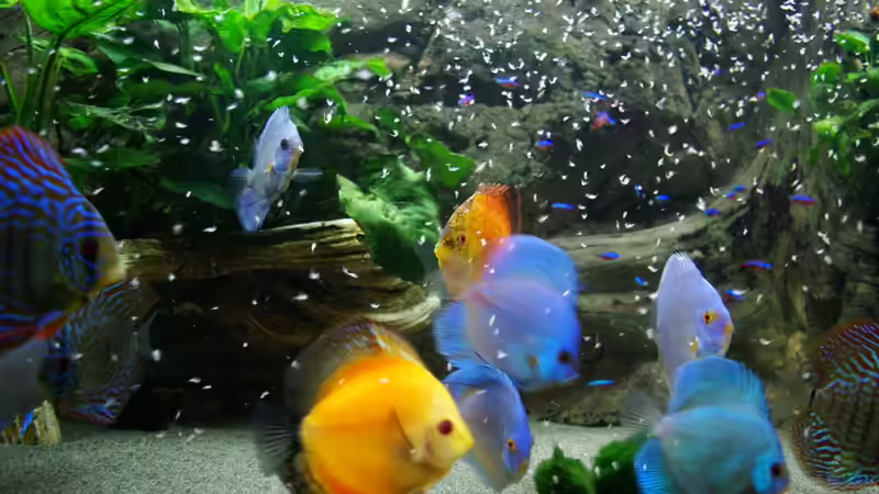 sie fressen von Jens Beier (17)