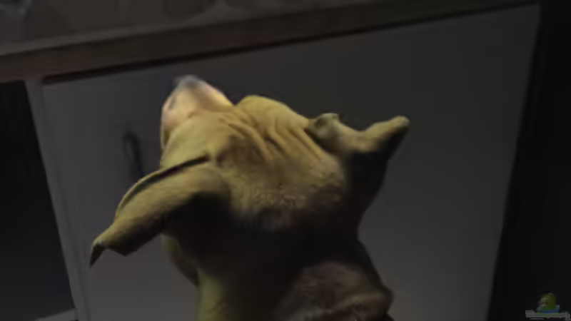 Sie mags auch von Marius Stößer (71)