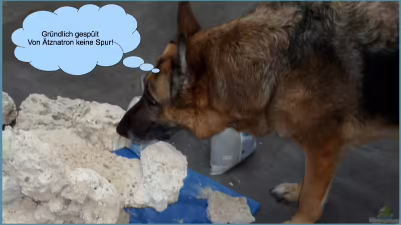 Sie will nur spielen von OldFriend (15)