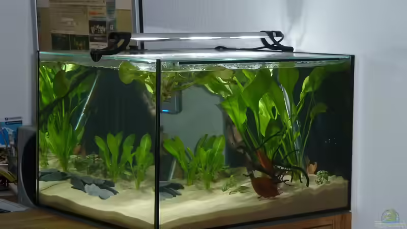 sieht alles noch etwas kahl aus von JohannesDD (6)