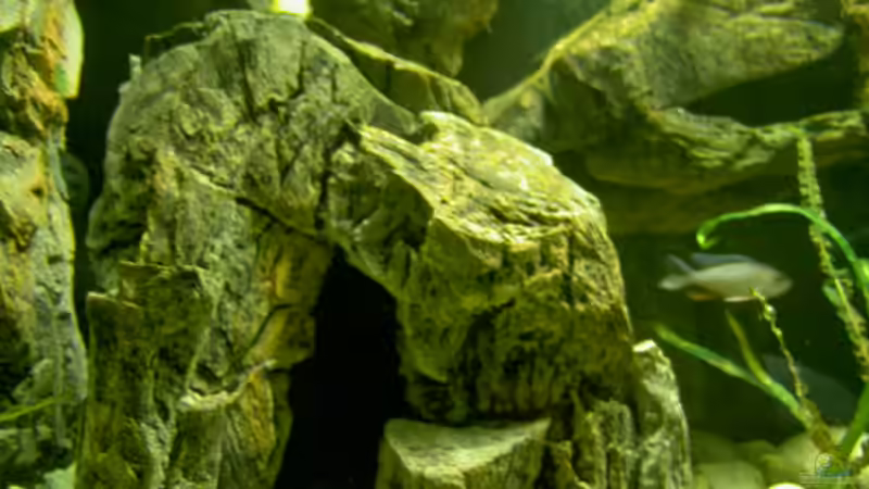 sieht doch echt aus oder? von Thorsten Peetz (6)